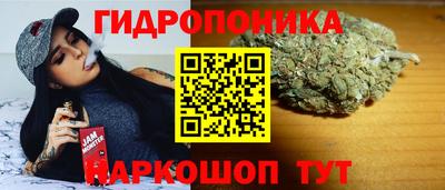 стафф Ликино-Дулёво