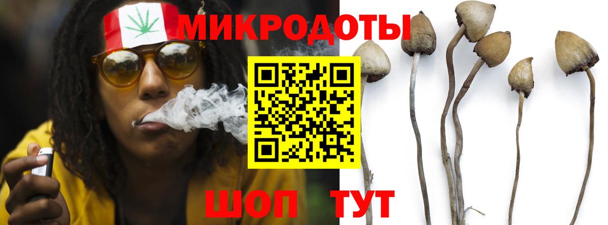 Псилоцибиновые грибы Psilocybe  Вход с VPN  Елизово  Псилоцибиновые грибы мухоморы 